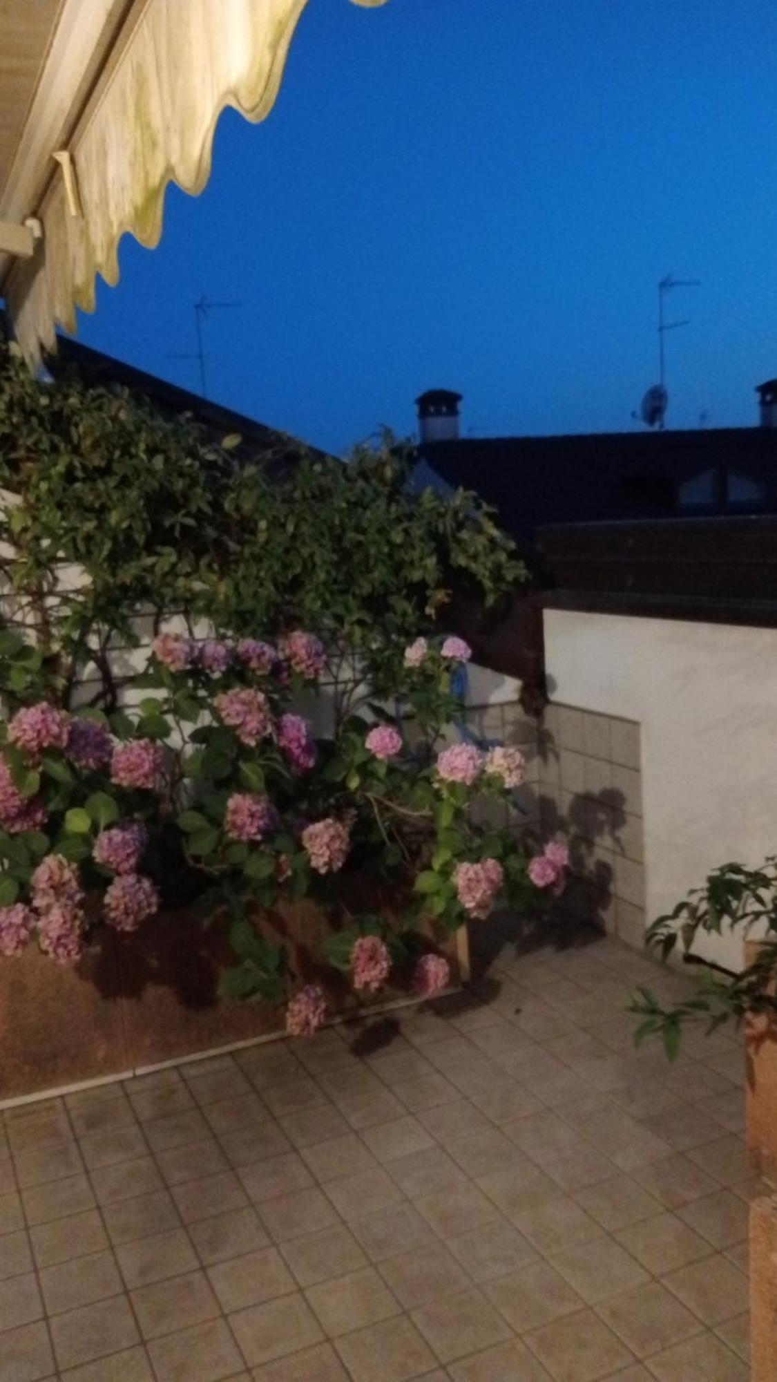Attico Di Marisa Appartement Codroipo Buitenkant foto
